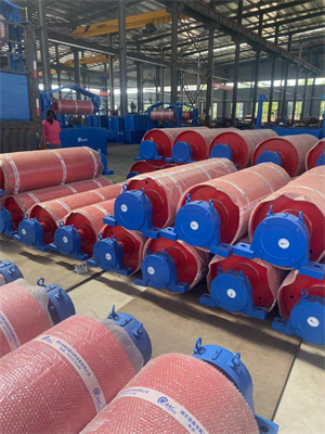 သငျသညျသှားကိုသငျသညျသွယ်စု roller ကိုရွေးချယ်ရမလဲသိသလား